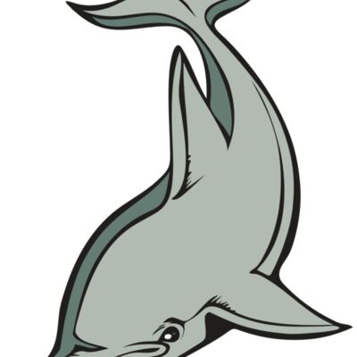 BAW DOLPHIN 01 RC Thumbnail